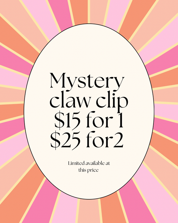Mystery Claw Clip (ready to ship)
